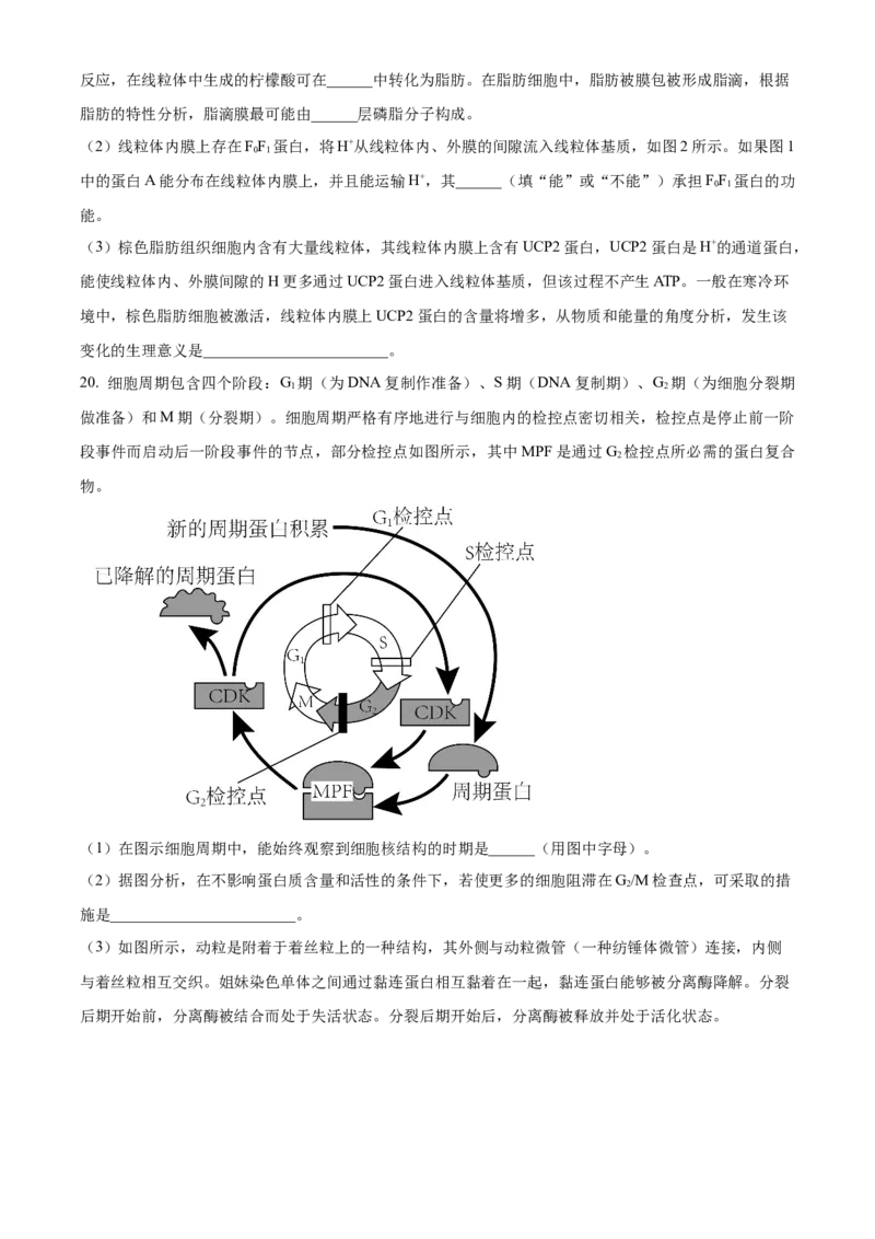 湖北省武汉市华中师范大学第一附属中学2023-2024学年高三期中生物试题（原卷版）(1)_2023年11月_0211月合集_2024届湖北省华中师范大学第一附属中学高三上学期11月期中