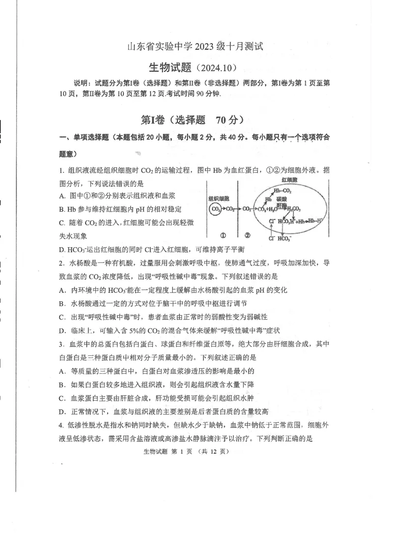 山东省实验中学2024-2025学年高二上学期10月月考生物试题含答案_2024-2025高二（7-7月题库）_2024年10月试卷_1024山东省实验中学2024-2025学年高二上学期10月月考