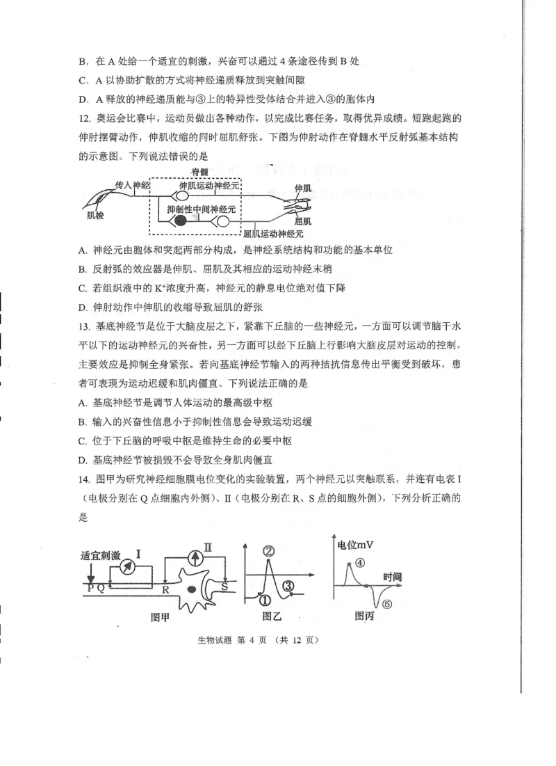山东省实验中学2024-2025学年高二上学期10月月考生物试题含答案_2024-2025高二（7-7月题库）_2024年10月试卷_1024山东省实验中学2024-2025学年高二上学期10月月考