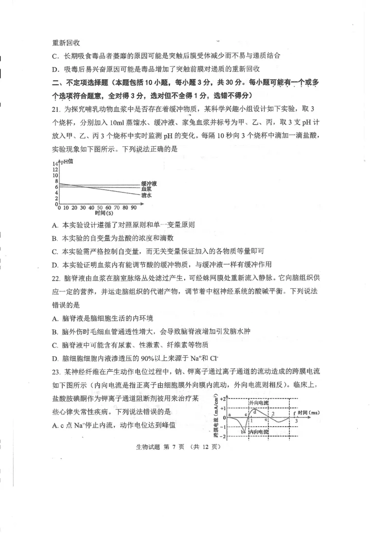 山东省实验中学2024-2025学年高二上学期10月月考生物试题含答案_2024-2025高二（7-7月题库）_2024年10月试卷_1024山东省实验中学2024-2025学年高二上学期10月月考