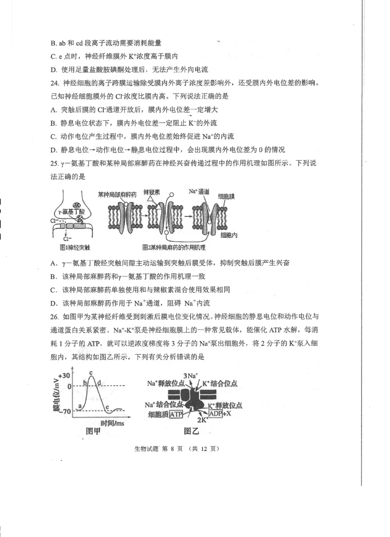 山东省实验中学2024-2025学年高二上学期10月月考生物试题含答案_2024-2025高二（7-7月题库）_2024年10月试卷_1024山东省实验中学2024-2025学年高二上学期10月月考