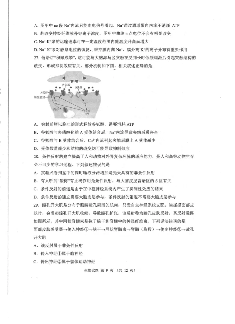 山东省实验中学2024-2025学年高二上学期10月月考生物试题含答案_2024-2025高二（7-7月题库）_2024年10月试卷_1024山东省实验中学2024-2025学年高二上学期10月月考