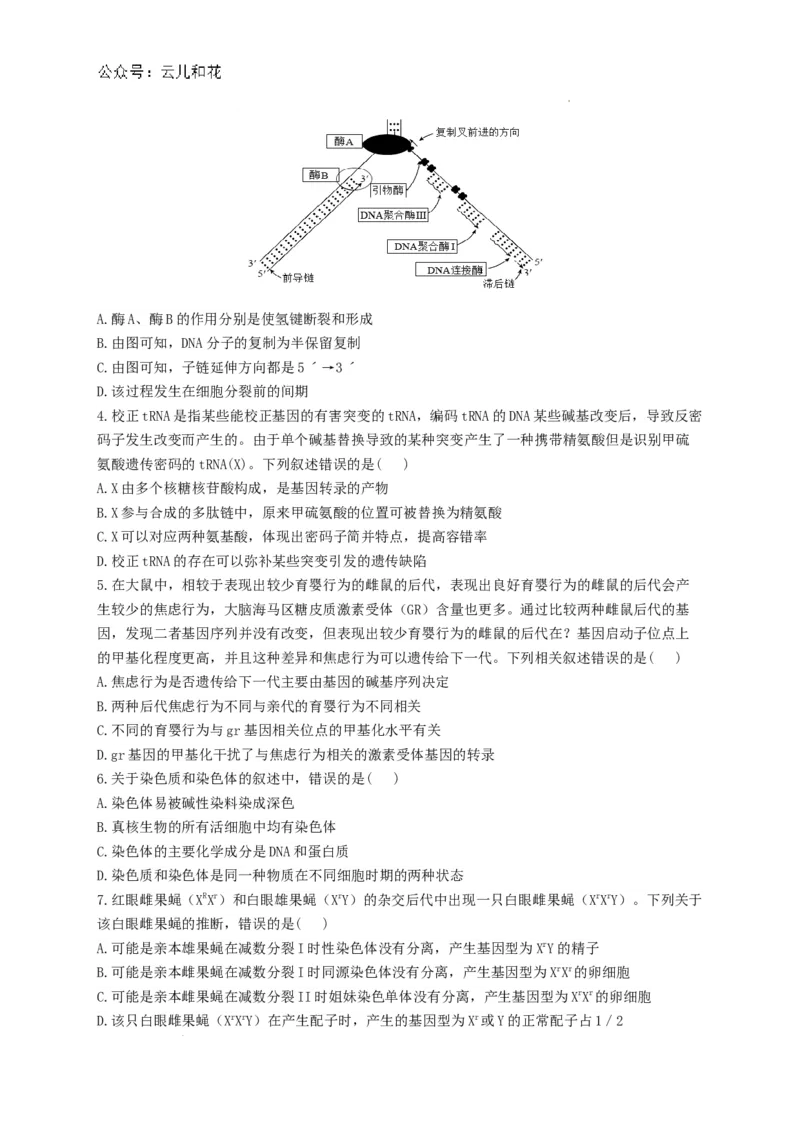 河南省洛阳市洛龙区洛阳市第一高级中学2024-2025学年高二上学期生物试题_2024-2025高二（7-7月题库）_2024年08月试卷_0813河南省洛阳市第一高级中学2024-2025学年高二上学期开学摸底考试