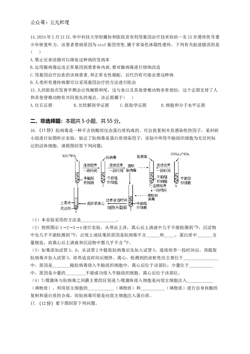 河南省洛阳市洛龙区洛阳市第一高级中学2024-2025学年高二上学期生物试题_2024-2025高二（7-7月题库）_2024年08月试卷_0813河南省洛阳市第一高级中学2024-2025学年高二上学期开学摸底考试