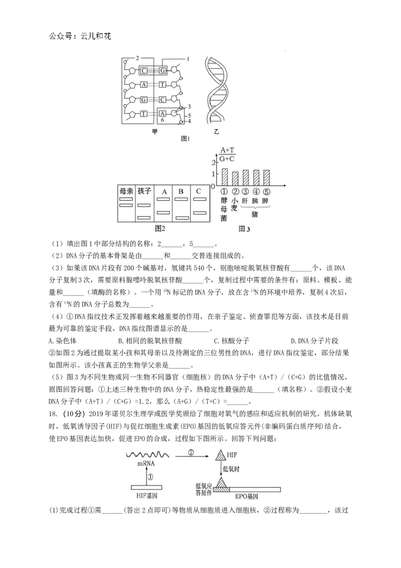 河南省洛阳市洛龙区洛阳市第一高级中学2024-2025学年高二上学期生物试题_2024-2025高二（7-7月题库）_2024年08月试卷_0813河南省洛阳市第一高级中学2024-2025学年高二上学期开学摸底考试