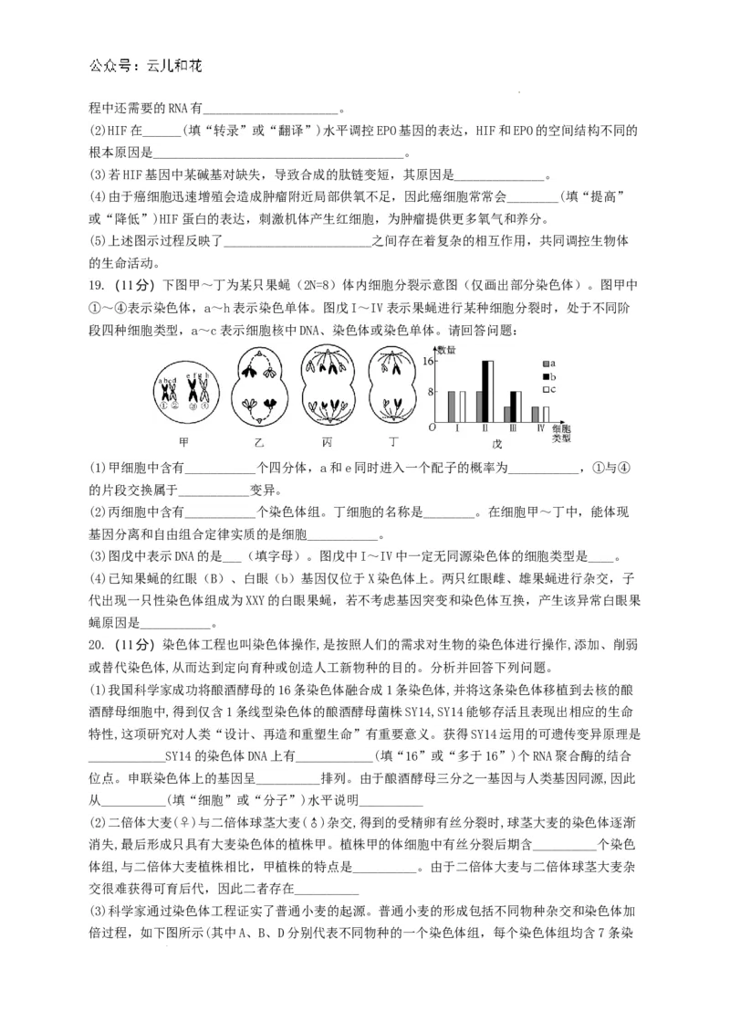 河南省洛阳市洛龙区洛阳市第一高级中学2024-2025学年高二上学期生物试题_2024-2025高二（7-7月题库）_2024年08月试卷_0813河南省洛阳市第一高级中学2024-2025学年高二上学期开学摸底考试