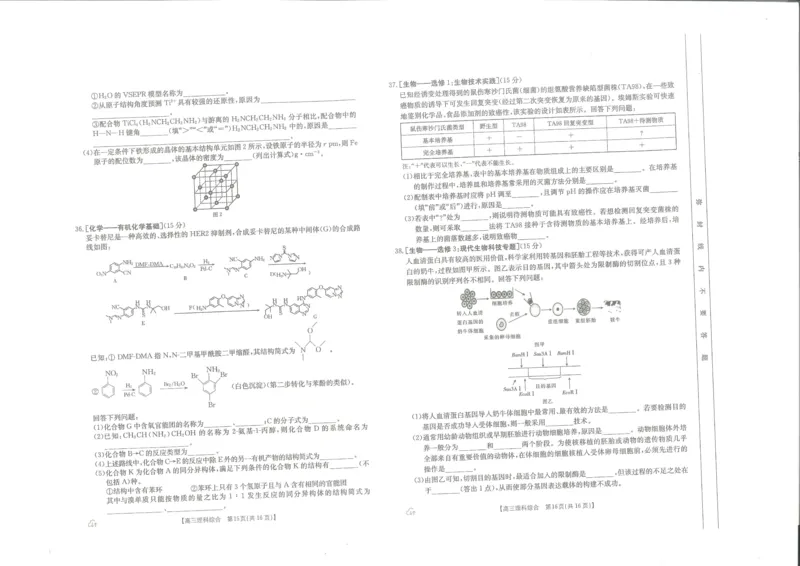 理综试卷_2024年5月_01按日期_23号_2024届内蒙古金太阳6002C高三5月联考_2024届内蒙古金太阳6002C高三5月联考理综