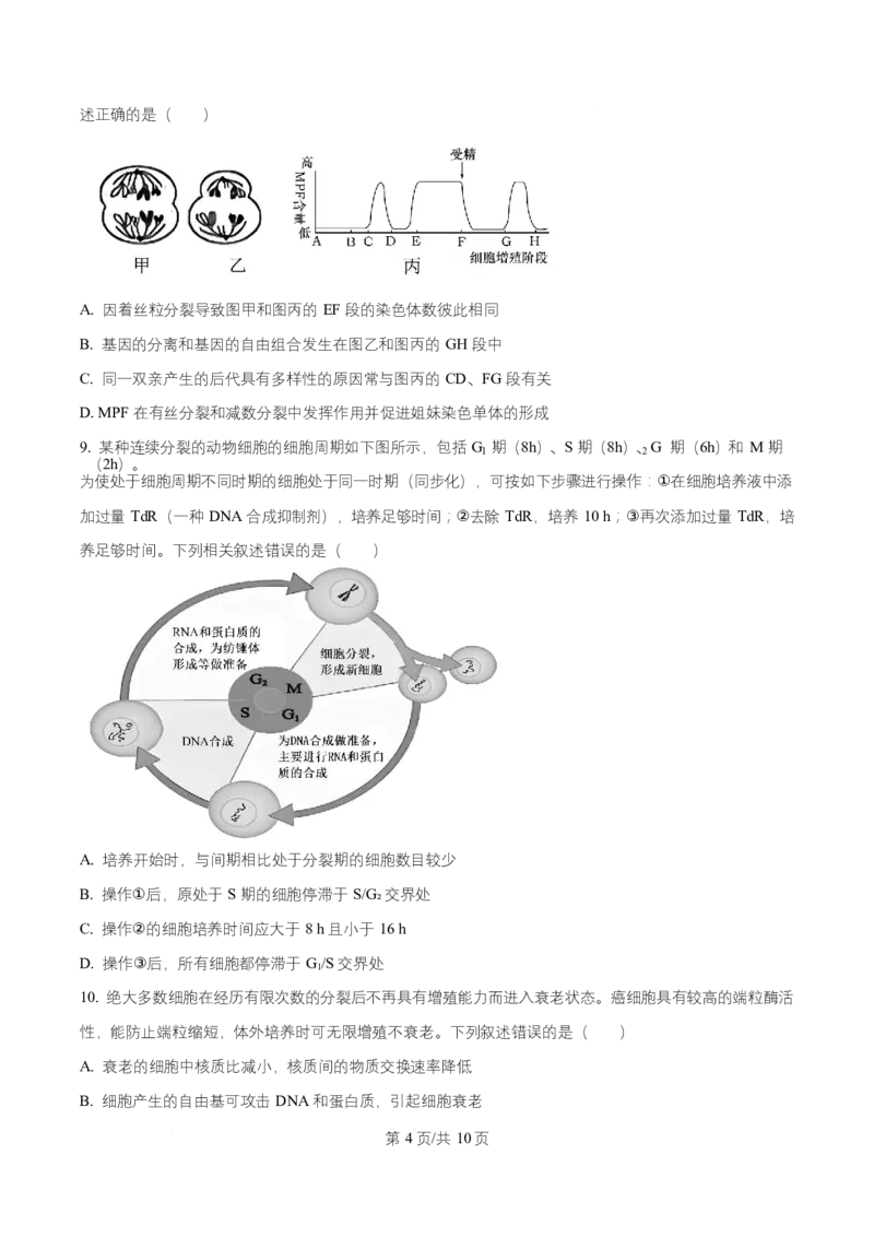 宁夏银川市宁夏育才中学2026届高三上学期第一次月考+生物_2024-2026高三（6-6月题库）_2025年09月试卷_250929宁夏银川市育才中学2025-2026学年高三上学期第一次月考（全科）