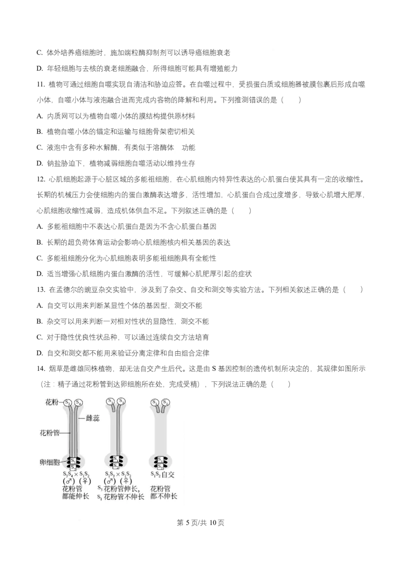 宁夏银川市宁夏育才中学2026届高三上学期第一次月考+生物_2024-2026高三（6-6月题库）_2025年09月试卷_250929宁夏银川市育才中学2025-2026学年高三上学期第一次月考（全科）