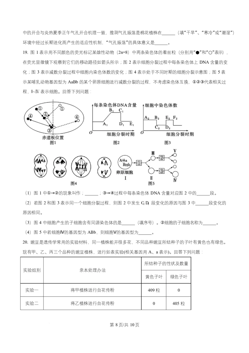 宁夏银川市宁夏育才中学2026届高三上学期第一次月考+生物_2024-2026高三（6-6月题库）_2025年09月试卷_250929宁夏银川市育才中学2025-2026学年高三上学期第一次月考（全科）