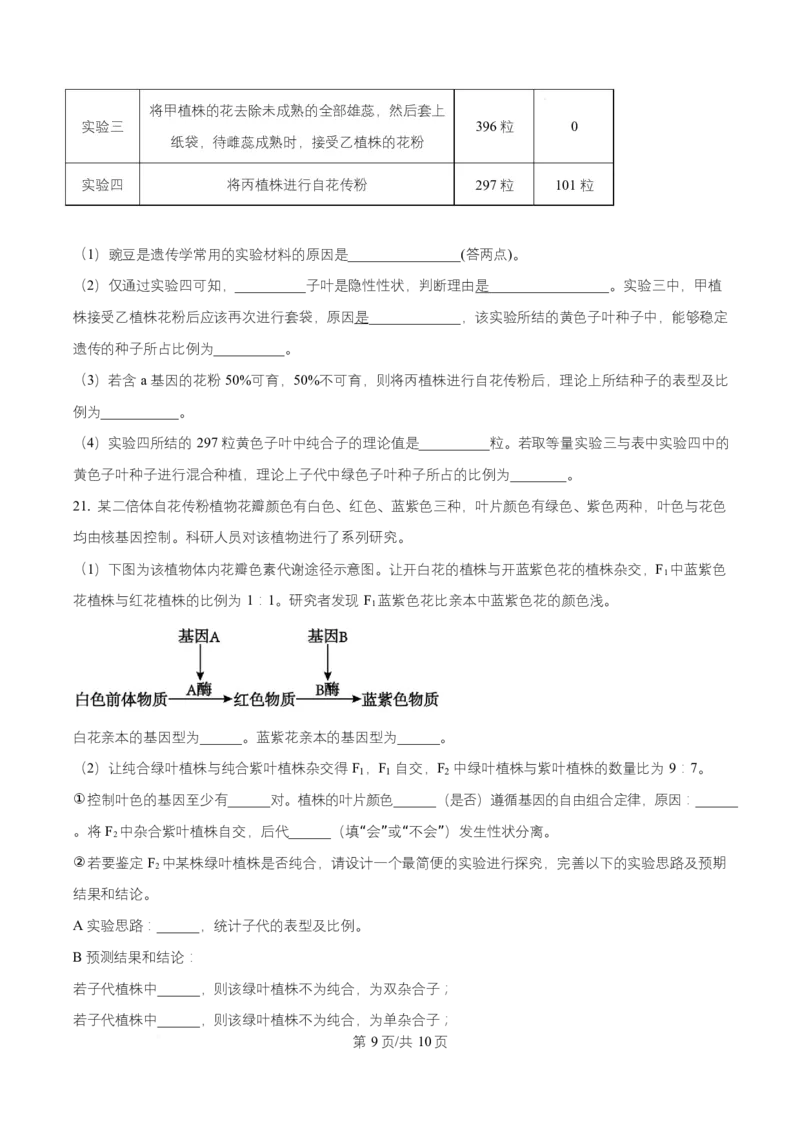 宁夏银川市宁夏育才中学2026届高三上学期第一次月考+生物_2024-2026高三（6-6月题库）_2025年09月试卷_250929宁夏银川市育才中学2025-2026学年高三上学期第一次月考（全科）