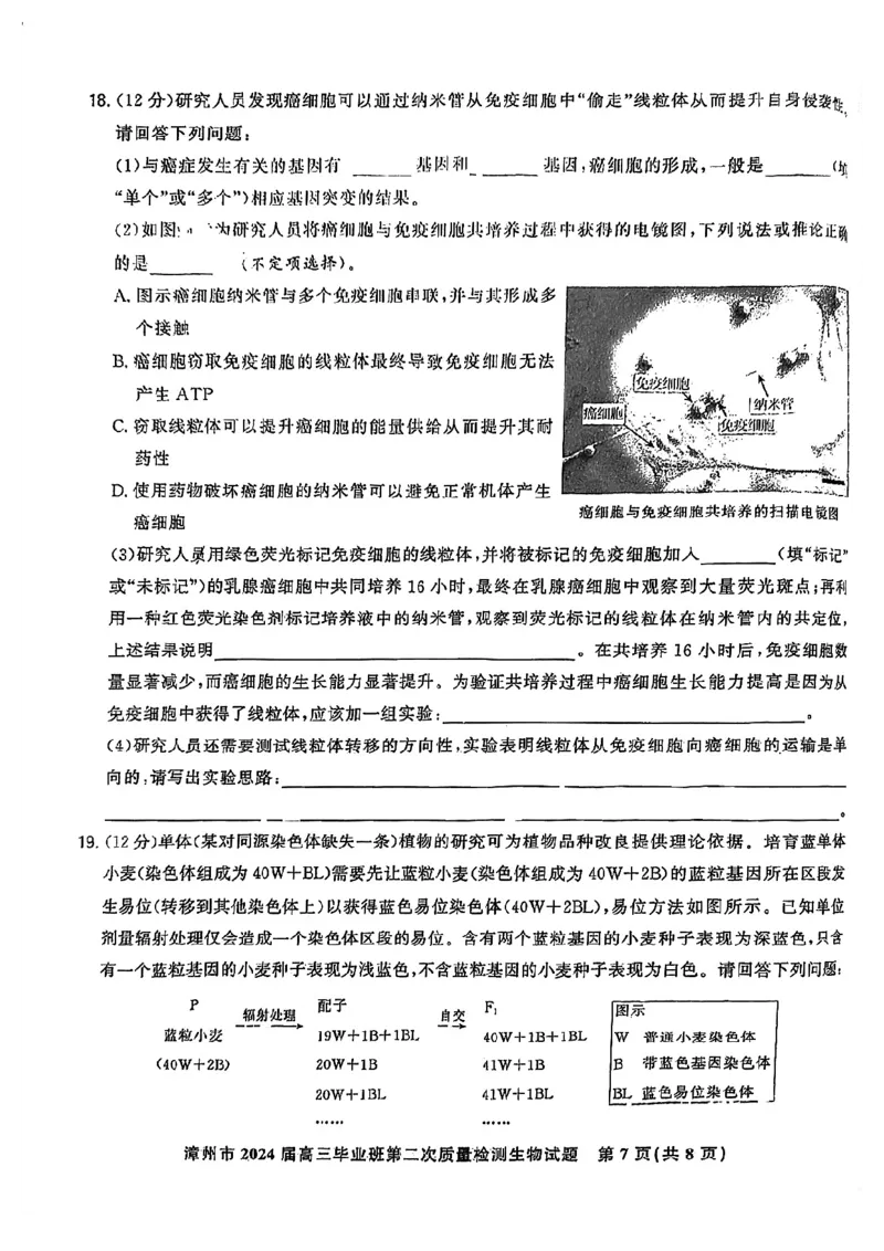 福建省漳州市2024届高三上学期第二次质量检测生物(1)_2024年2月_022月合集_2024届福建省漳州市高三上学期第二次质量检测