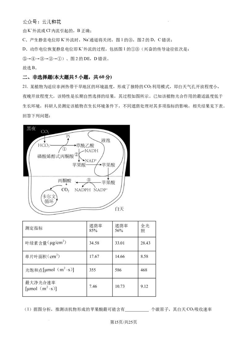 浙江省杭州市周边重点中学四校联考2024-2025学年高二上学期10月月考生物试题（解析）_2024-2025高二（7-7月题库）_2024年10月试卷