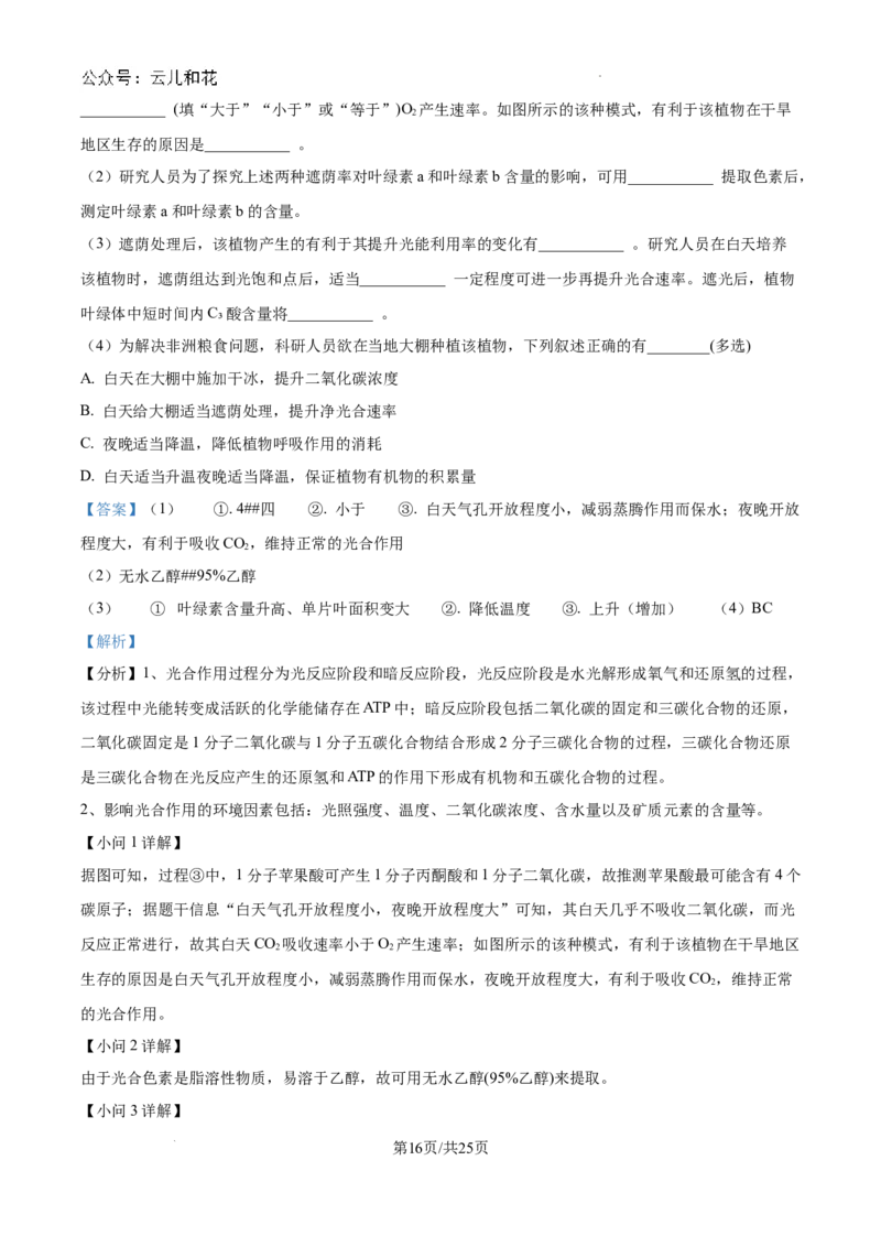 浙江省杭州市周边重点中学四校联考2024-2025学年高二上学期10月月考生物试题（解析）_2024-2025高二（7-7月题库）_2024年10月试卷