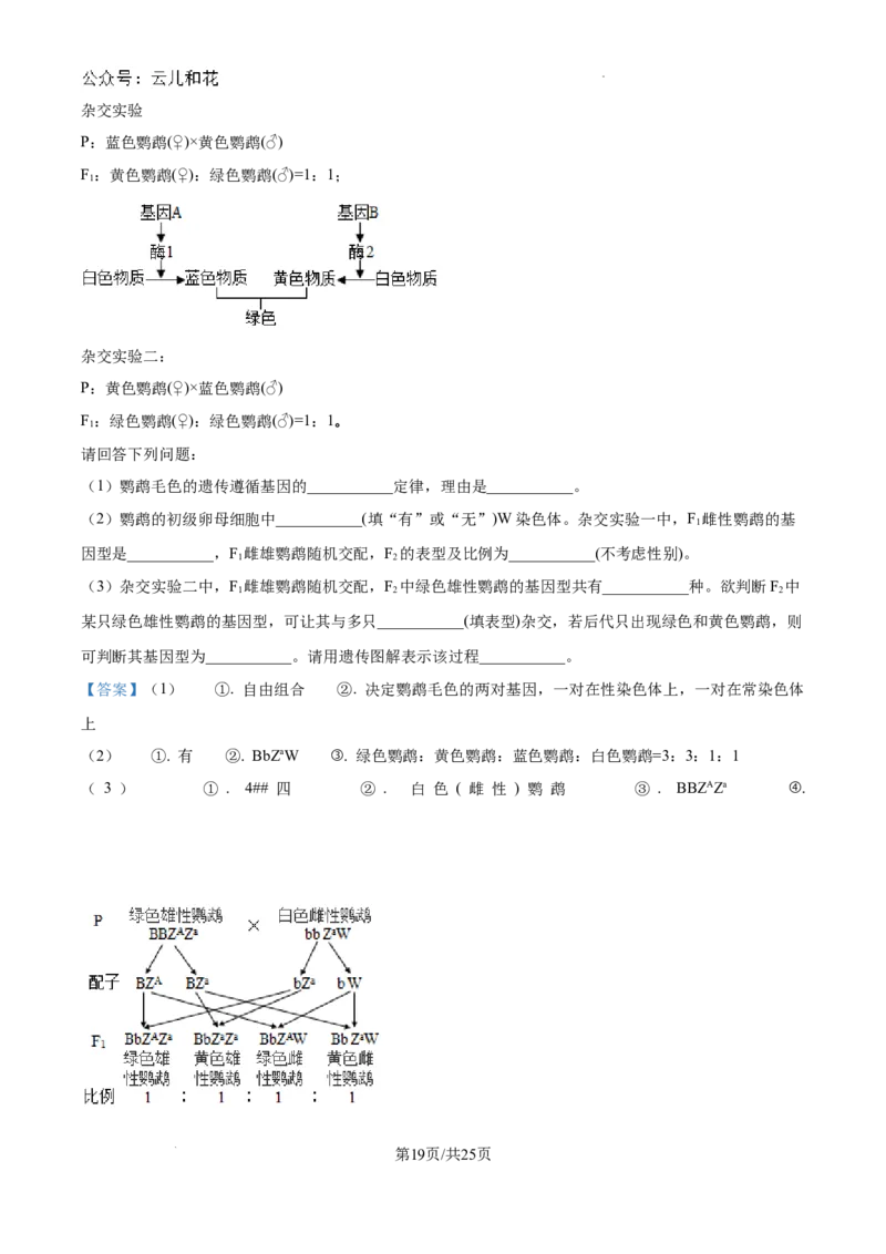 浙江省杭州市周边重点中学四校联考2024-2025学年高二上学期10月月考生物试题（解析）_2024-2025高二（7-7月题库）_2024年10月试卷