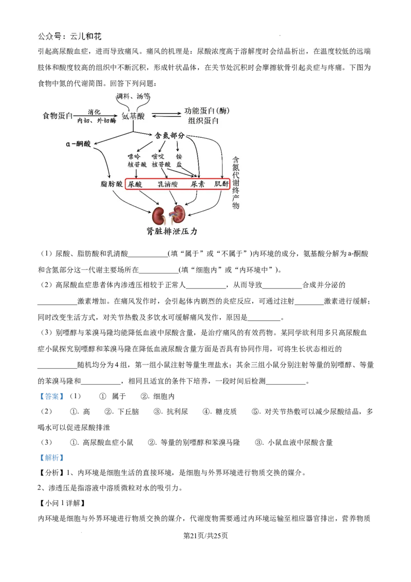 浙江省杭州市周边重点中学四校联考2024-2025学年高二上学期10月月考生物试题（解析）_2024-2025高二（7-7月题库）_2024年10月试卷
