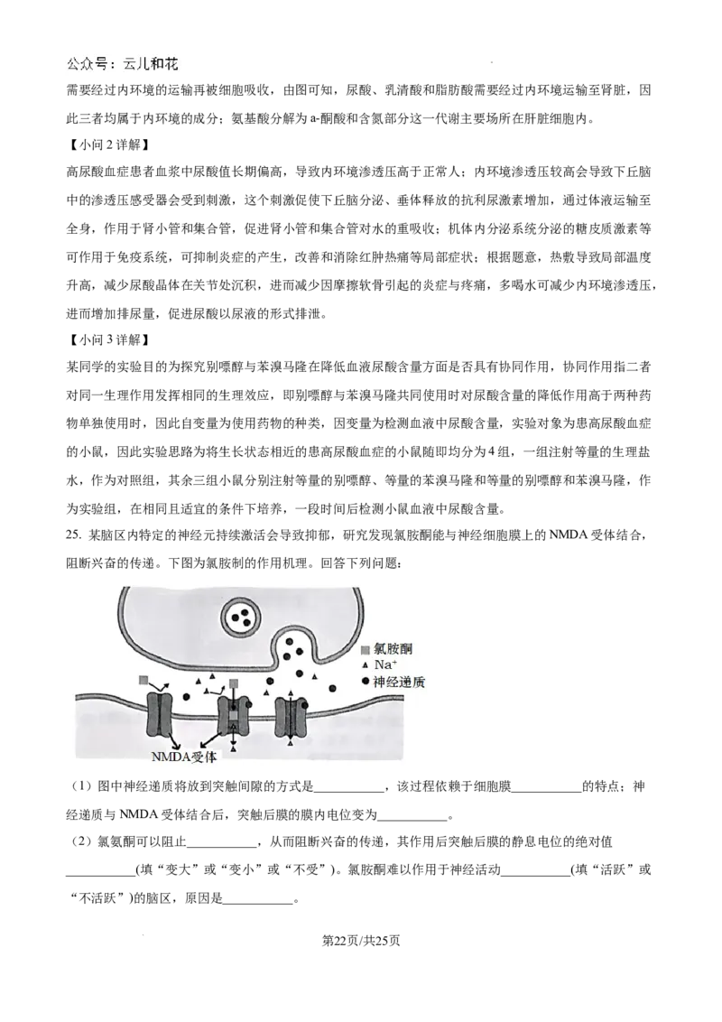 浙江省杭州市周边重点中学四校联考2024-2025学年高二上学期10月月考生物试题（解析）_2024-2025高二（7-7月题库）_2024年10月试卷