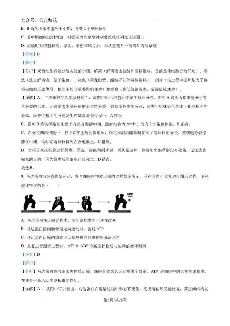 浙江省杭州市周边重点中学四校联考2024-2025学年高二上学期10月月考生物试题（解析）_2024-2025高二（7-7月题库）_2024年10月试卷