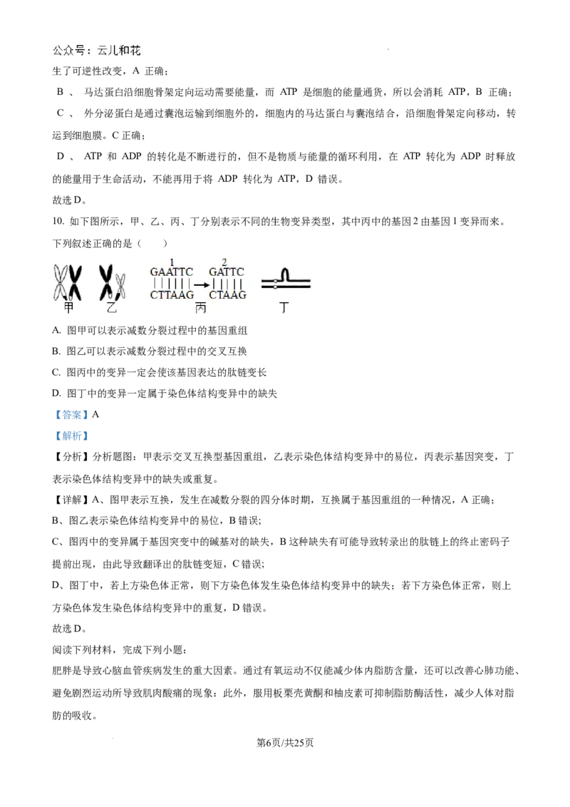 浙江省杭州市周边重点中学四校联考2024-2025学年高二上学期10月月考生物试题（解析）_2024-2025高二（7-7月题库）_2024年10月试卷