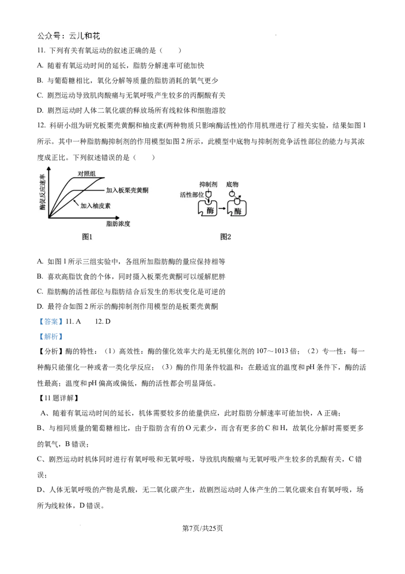 浙江省杭州市周边重点中学四校联考2024-2025学年高二上学期10月月考生物试题（解析）_2024-2025高二（7-7月题库）_2024年10月试卷