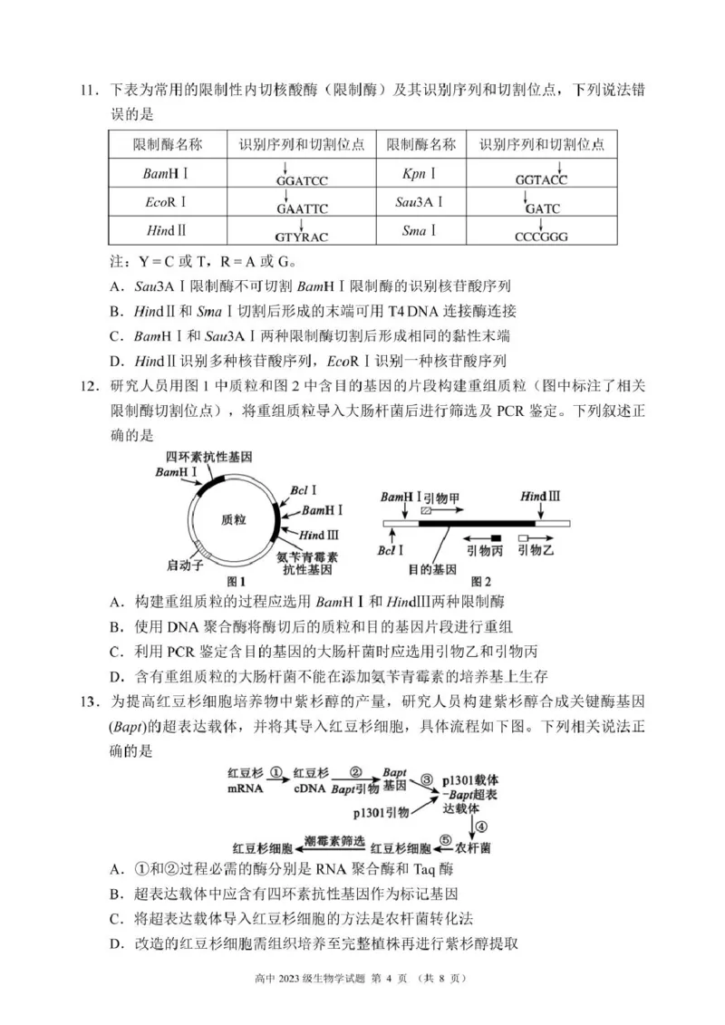 四川省成都市蓉城联考2024-2025学年高二下学期4月期中生物试题_2024-2025高二（7-7月题库）_2025年04月试卷(1)_0426四川省成都市蓉城名校联盟2024-2025学年高二下学期期中考试