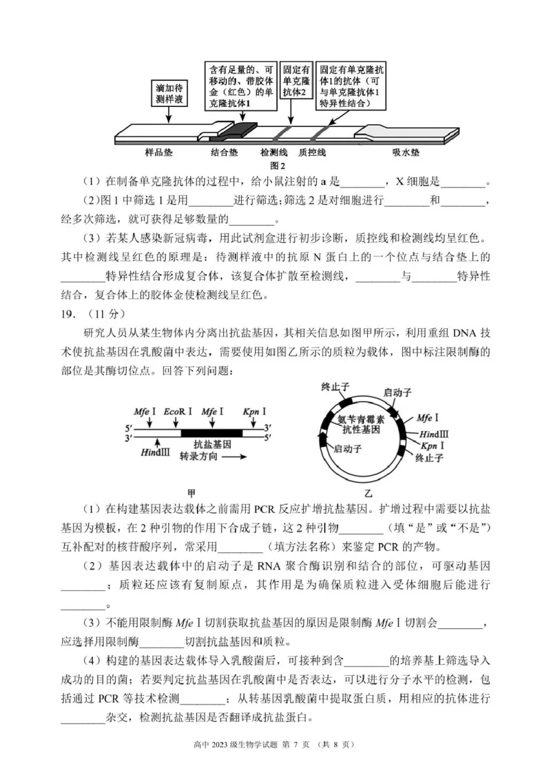四川省成都市蓉城联考2024-2025学年高二下学期4月期中生物试题_2024-2025高二（7-7月题库）_2025年04月试卷(1)_0426四川省成都市蓉城名校联盟2024-2025学年高二下学期期中考试