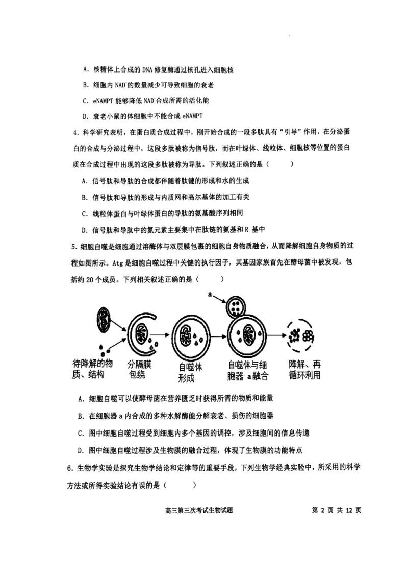 辽宁省锦州市某校2023-2024学年高三上学期第三次考试生物(1)_2023年11月_0211月合集_2024届辽宁省锦州市高三上学期第三次考试_辽宁省锦州市2024届高三上学期第三次考试生物