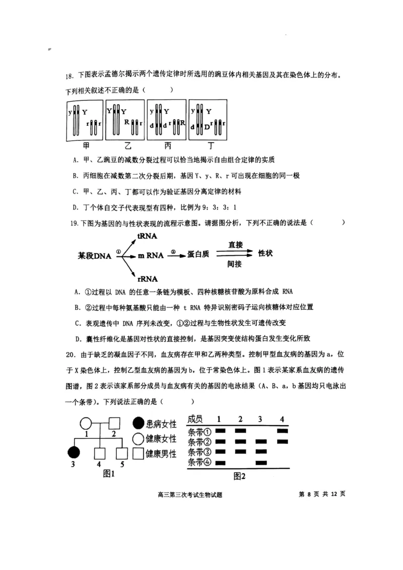 辽宁省锦州市某校2023-2024学年高三上学期第三次考试生物(1)_2023年11月_0211月合集_2024届辽宁省锦州市高三上学期第三次考试_辽宁省锦州市2024届高三上学期第三次考试生物