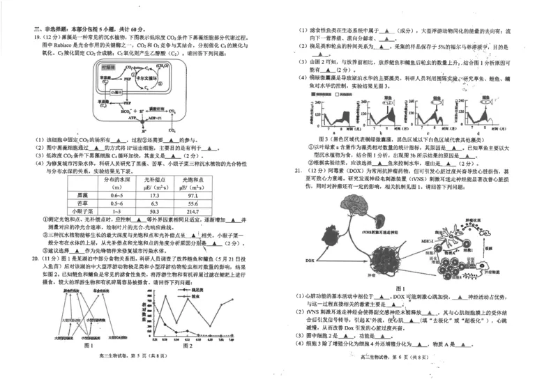 江苏省海安高级中学2024-2025学年高三上学期期中考试生物试题（含答案）_2024-2025高三（6-6月题库）_2024年12月试卷_1205江苏省海安高级中学2024-2025学年高三上学期期中考试试题