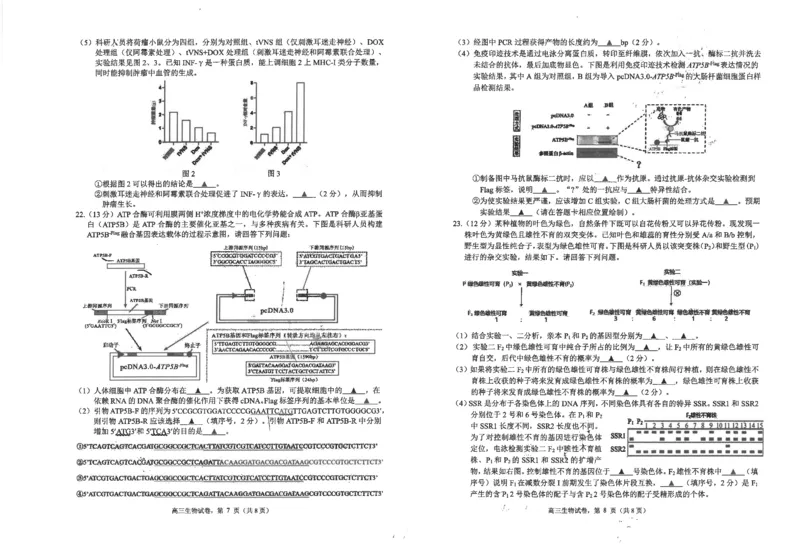 江苏省海安高级中学2024-2025学年高三上学期期中考试生物试题（含答案）_2024-2025高三（6-6月题库）_2024年12月试卷_1205江苏省海安高级中学2024-2025学年高三上学期期中考试试题