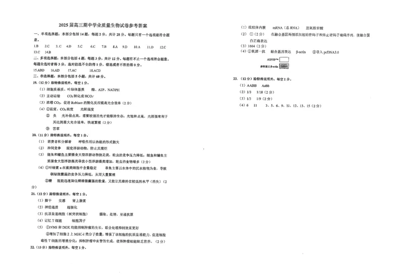江苏省海安高级中学2024-2025学年高三上学期期中考试生物试题（含答案）_2024-2025高三（6-6月题库）_2024年12月试卷_1205江苏省海安高级中学2024-2025学年高三上学期期中考试试题