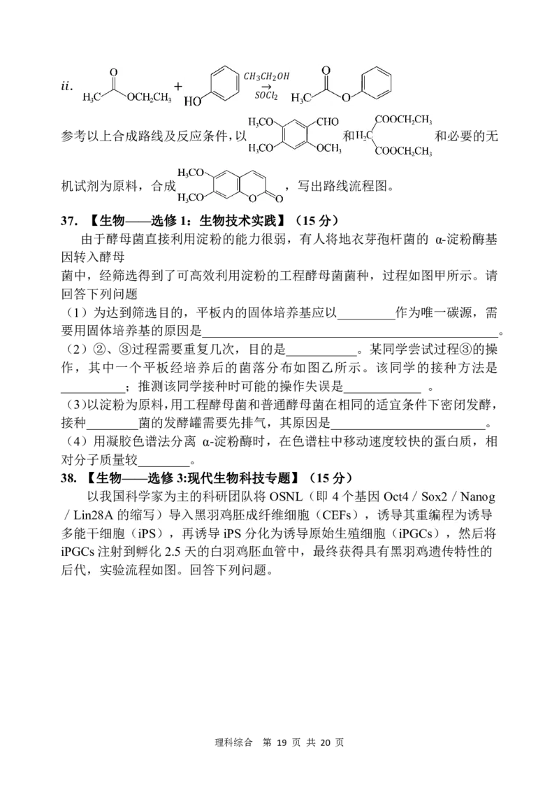 西安中学高2024届高三第一次模拟考试理科综合试题_2024年2月_01每日更新_08号_2024届陕西省西安中学高三模拟考试（一）_陕西省西安中学2024届高三模拟考试（一）理综