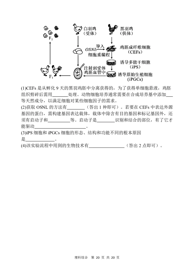 西安中学高2024届高三第一次模拟考试理科综合试题_2024年2月_01每日更新_08号_2024届陕西省西安中学高三模拟考试（一）_陕西省西安中学2024届高三模拟考试（一）理综