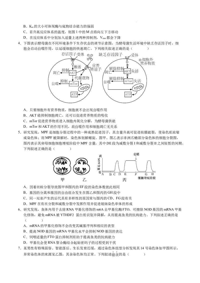八省2025届高三&ldquo;八省联考&rdquo;考前猜想卷生物（15+5）考试版A4_2024-2025高三（6-6月题库）_2025年01月试卷_01012025届高三&ldquo;八省联考&rdquo;考前猜想卷