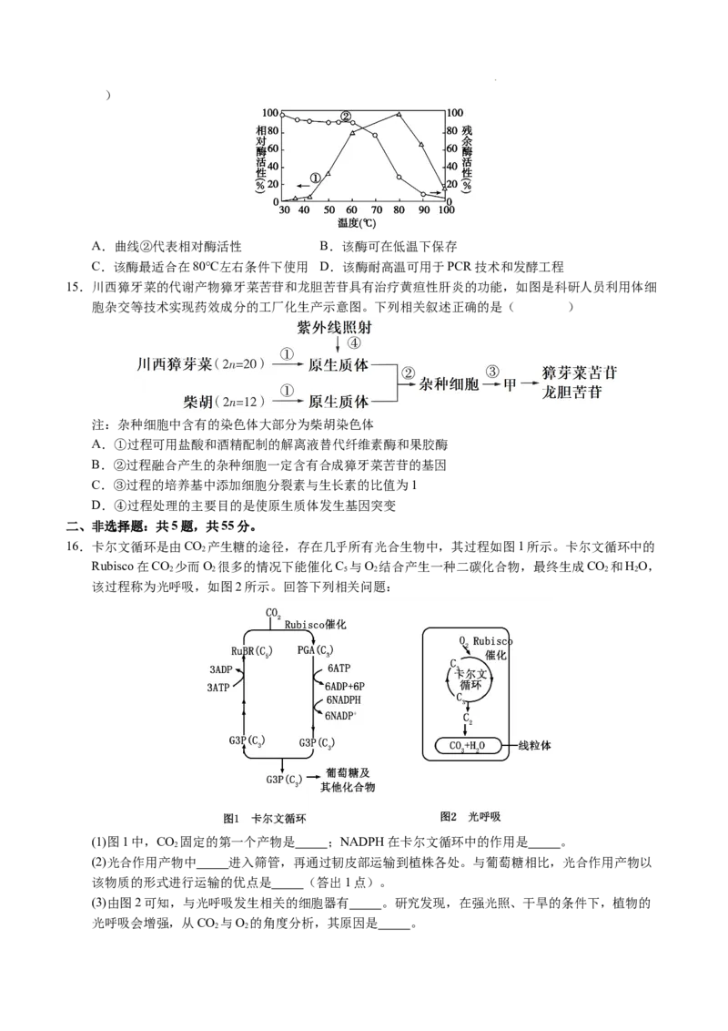 八省2025届高三&ldquo;八省联考&rdquo;考前猜想卷生物（15+5）考试版A4_2024-2025高三（6-6月题库）_2025年01月试卷_01012025届高三&ldquo;八省联考&rdquo;考前猜想卷
