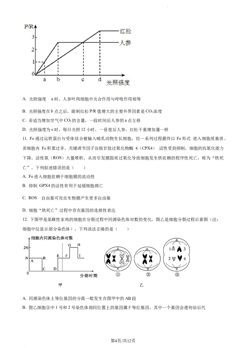 精品解析：河南省项城市一中2023-2024学年高三11月期中生物试题（原卷版）(1)_2023年11月_0211月合集_2024届河南省周口市项城市第一高级中学高三上学期11月期中试题