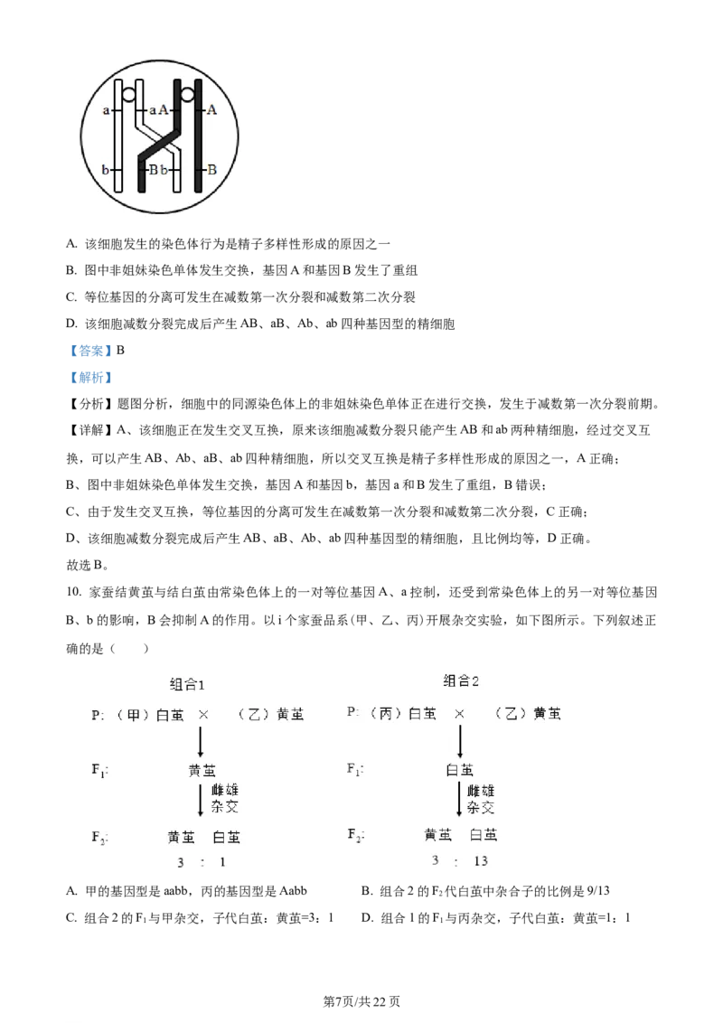 精品解析：福建省厦门市湖滨中学2023-2024学年高三上学期期中生物试题（解析版）(1)_2023年11月_0211月合集_2024届福建省厦门市湖滨中学高三上学期期中考试