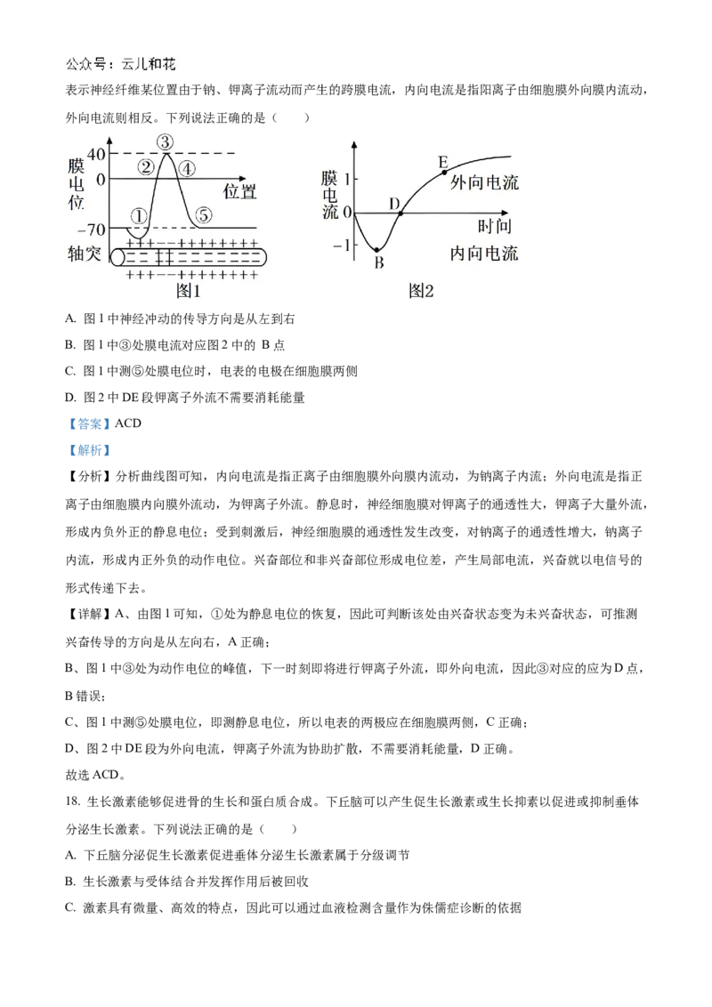 山东省聊城市2024-2025学年高二上学期11月期中生物试题Word版含解析_2024-2025高二（7-7月题库）_2024年12月试卷_1202山东省聊城市2024-2025学年高二上学期11月期中考试