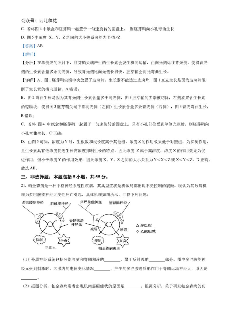山东省聊城市2024-2025学年高二上学期11月期中生物试题Word版含解析_2024-2025高二（7-7月题库）_2024年12月试卷_1202山东省聊城市2024-2025学年高二上学期11月期中考试