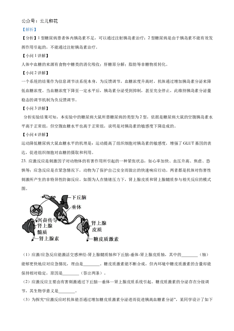 山东省聊城市2024-2025学年高二上学期11月期中生物试题Word版含解析_2024-2025高二（7-7月题库）_2024年12月试卷_1202山东省聊城市2024-2025学年高二上学期11月期中考试