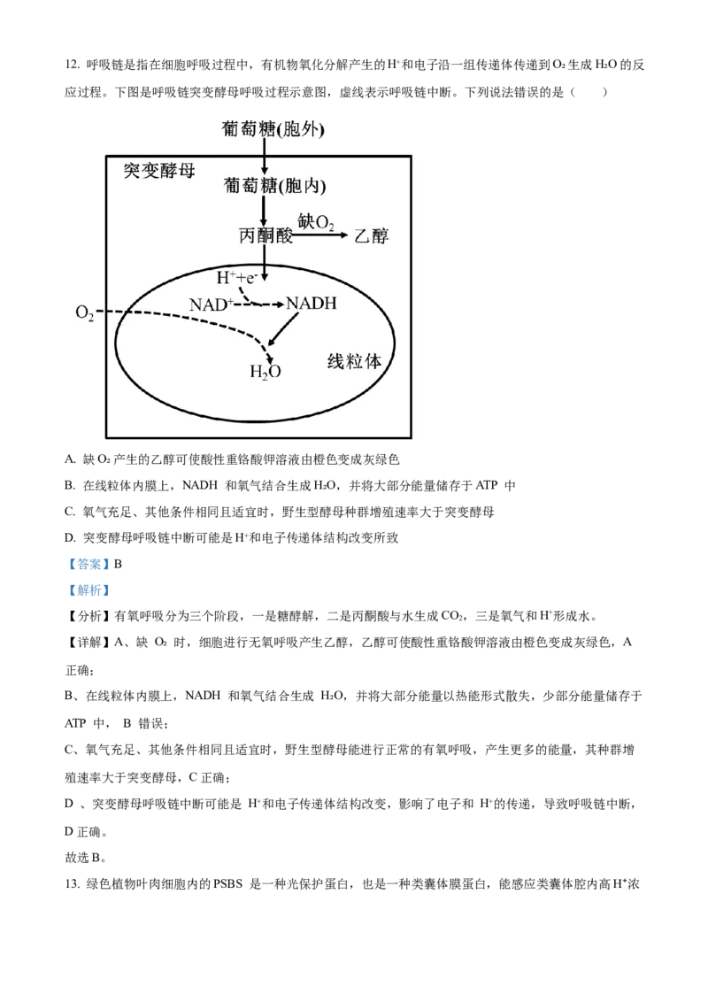 山东省烟台市2023-2024学年高二下学期7月期末考试生物Word版含解析_2024-2025高三（6-6月题库）_2024年07月试卷_240722山东省烟台市2023-2024学年高二下学期7月期末考试