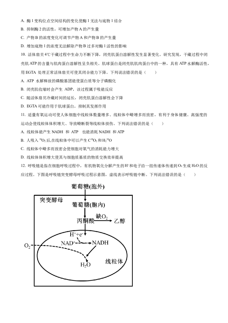 山东省烟台市2023-2024学年高二下学期7月期末考试生物Word版含解析_2024-2025高三（6-6月题库）_2024年07月试卷_240722山东省烟台市2023-2024学年高二下学期7月期末考试