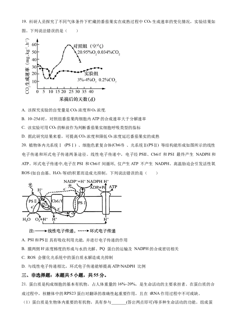 山东省烟台市2023-2024学年高二下学期7月期末考试生物Word版含解析_2024-2025高三（6-6月题库）_2024年07月试卷_240722山东省烟台市2023-2024学年高二下学期7月期末考试