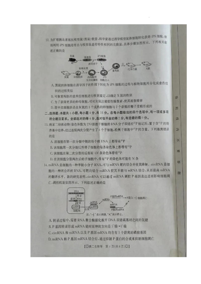 湖南省湘西2023-2024学年高二下学期期末考试生物试题_2024-2025高二（7-7月题库）_2024年07月试卷_0706湖南省金太阳2023-2024学年高二下学期7月期末考试