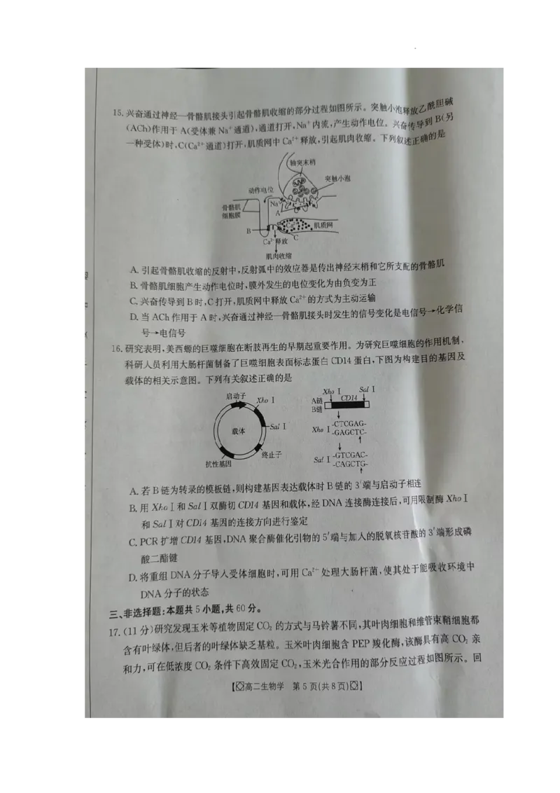 湖南省湘西2023-2024学年高二下学期期末考试生物试题_2024-2025高二（7-7月题库）_2024年07月试卷_0706湖南省金太阳2023-2024学年高二下学期7月期末考试