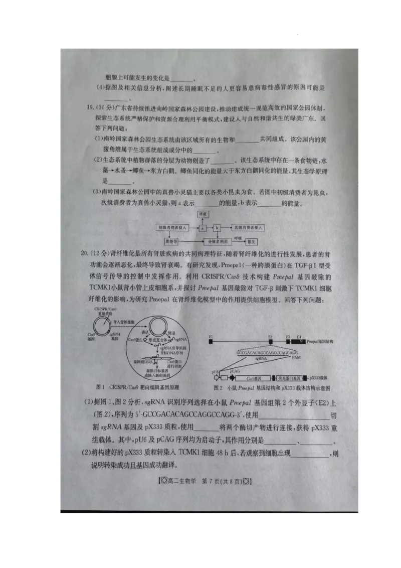 湖南省湘西2023-2024学年高二下学期期末考试生物试题_2024-2025高二（7-7月题库）_2024年07月试卷_0706湖南省金太阳2023-2024学年高二下学期7月期末考试