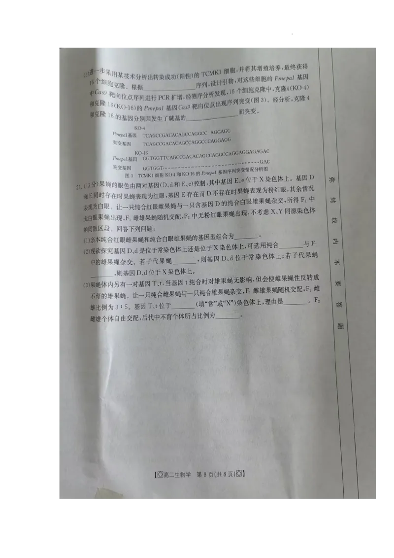 湖南省湘西2023-2024学年高二下学期期末考试生物试题_2024-2025高二（7-7月题库）_2024年07月试卷_0706湖南省金太阳2023-2024学年高二下学期7月期末考试