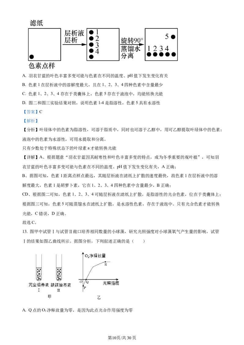 精品解析：河南省南阳市2023-2024学年高三上学期期中生物试题（解析版）(1)_2023年11月_0211月合集_2024届河南省南阳市高三上学期期中考试_河南省南阳市2024届高三上学期期中考试生物