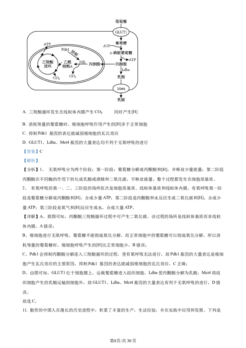 精品解析：河南省南阳市2023-2024学年高三上学期期中生物试题（解析版）(1)_2023年11月_0211月合集_2024届河南省南阳市高三上学期期中考试_河南省南阳市2024届高三上学期期中考试生物
