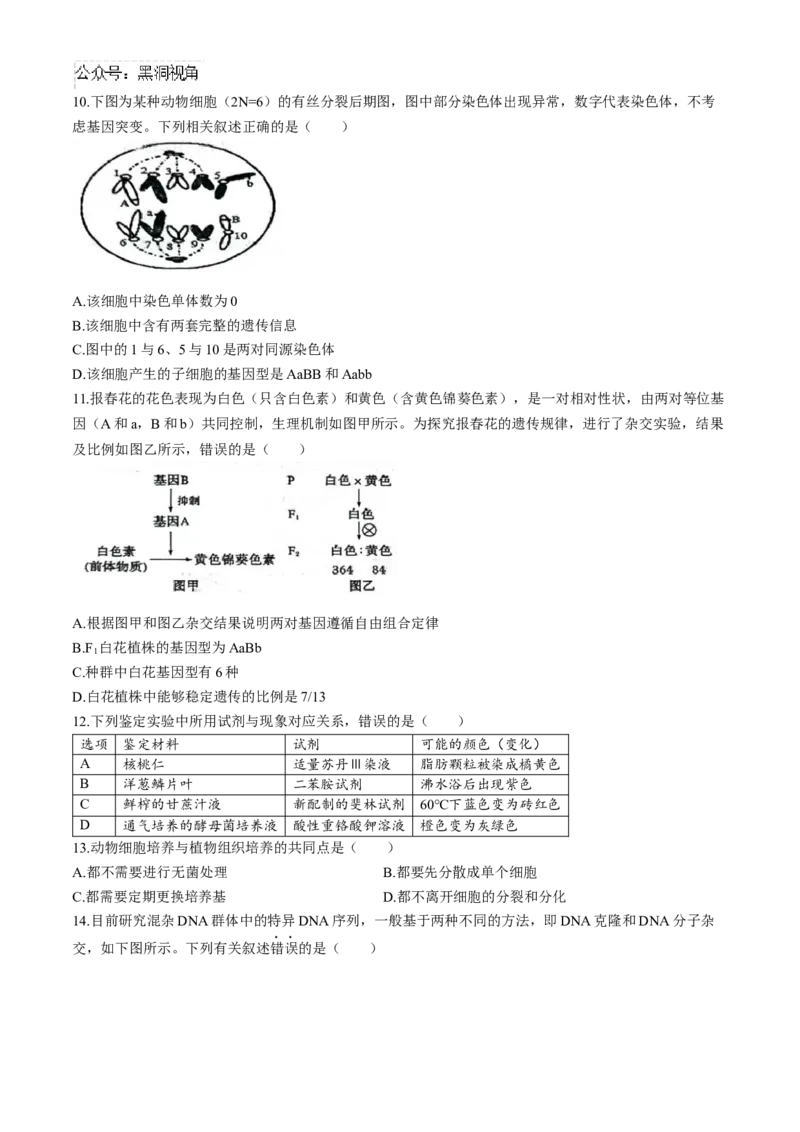 江苏省扬州市2024-2025学年高三上学期开学考试生物Word版含答案_2024-2025高三（6-6月题库）_2024年09月试卷_0907江苏省扬州市2024-2025学年高三上学期开学考试